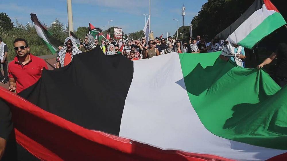 Pro-Palestine rally in The Hague marks 11 months since start of Gaza war