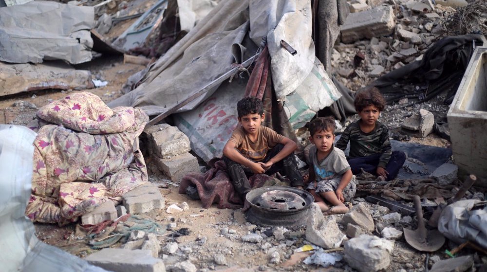  Euro-Med urges global access to Gaza to document Israel's genocide 