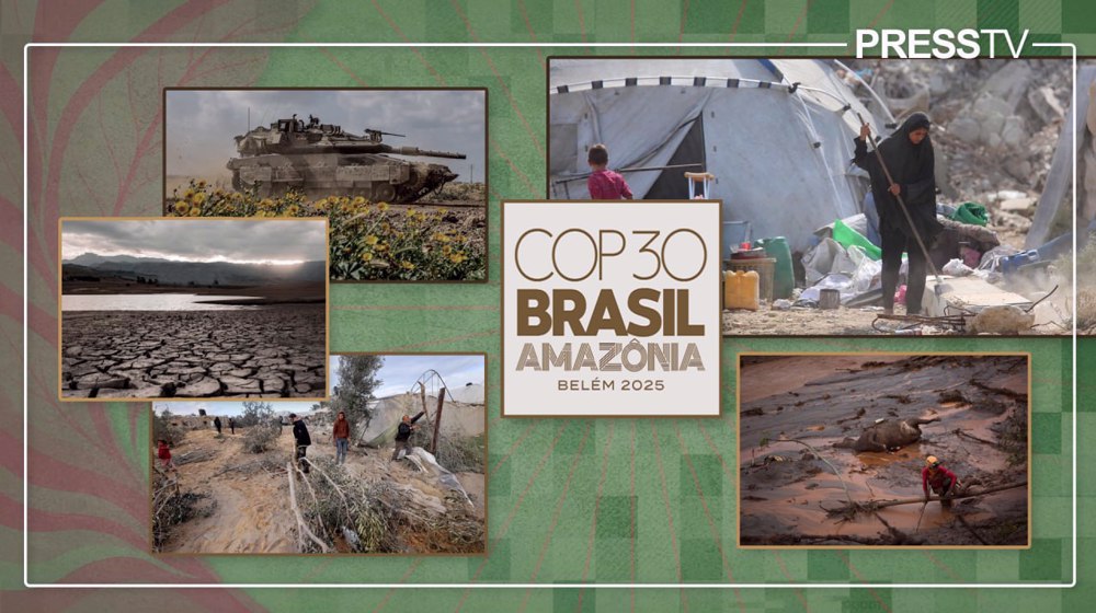 COP30 Brazil: Say 'no' to greenwashing indigenous ecocide, including in Gaza