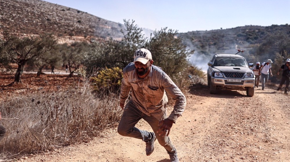West Bank olive harvest sees worst Israeli settler attacks this year: UNRWA