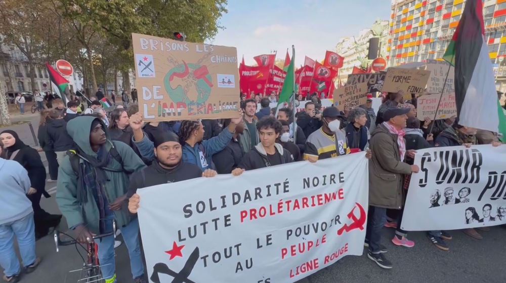 Paris demonstrators protest NATO, EU wars