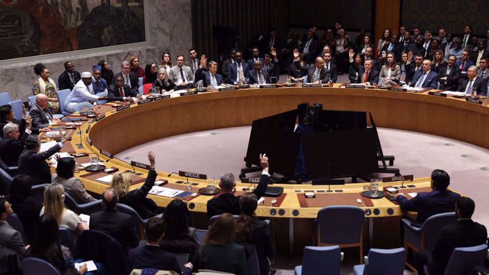 Le Conseil de sécurité approuve le plan US pour Gaza, le Hamas rejette la résolution