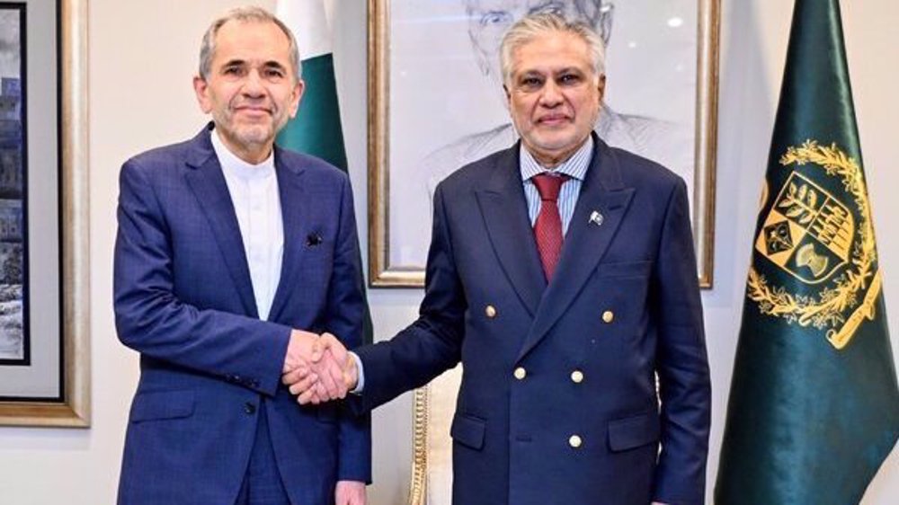Iran, Pakistan confer on regional developments, bilateral cooperation