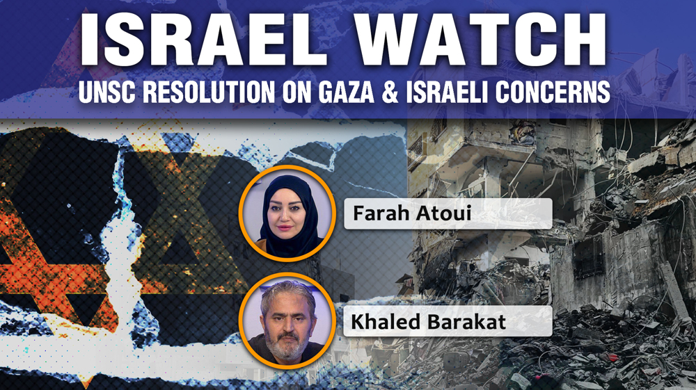 UNSC resolution on Gaza and Israeli concerns 