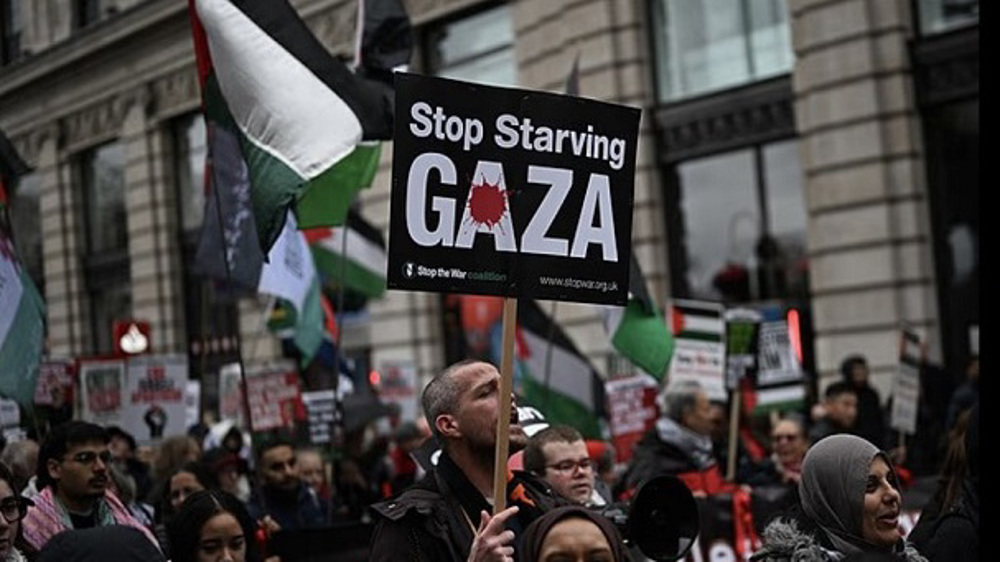 Solidarity with Palestine