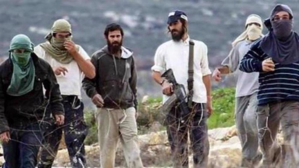 Cisjordanie: des colons israéliens s'emparent des terres agricoles