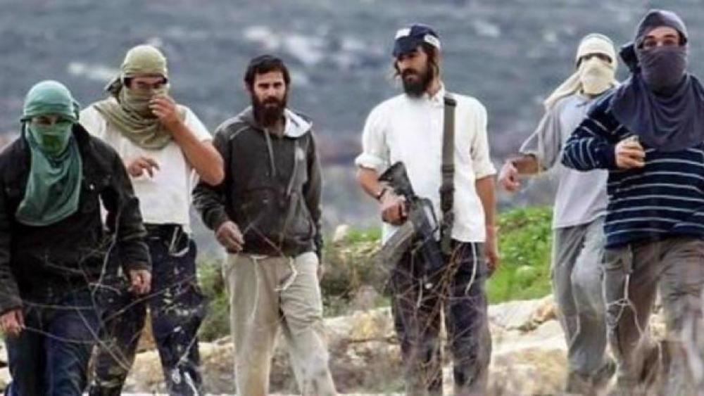 Israeli settlers seize hundreds of acres of Palestinian farmland in West Bank