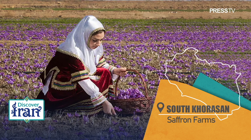 Discover Iran: Qaenat, South Khorasan – the cradle of world’s finest ‘red gold’ saffron