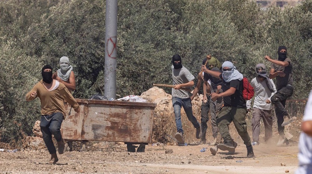 Cisjordanie: des volontaires violemment agressés par les colons israéliens
