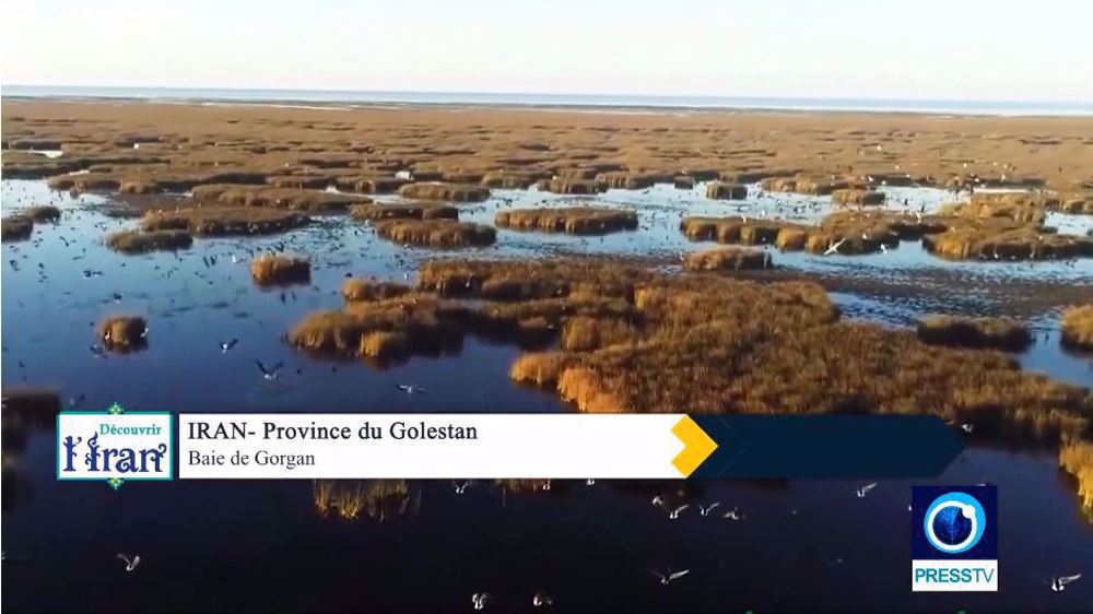 Découvrir l'Iran : la baie de Gorgan dans la province du Golestan