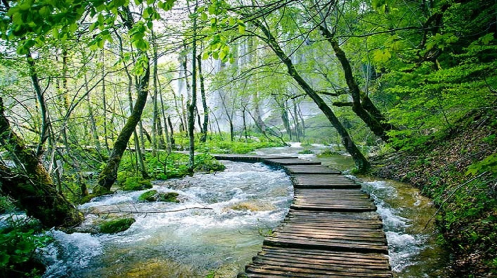 Découvrir l'Iran : le parc forestier d'Alangdare dans la province de Golestan