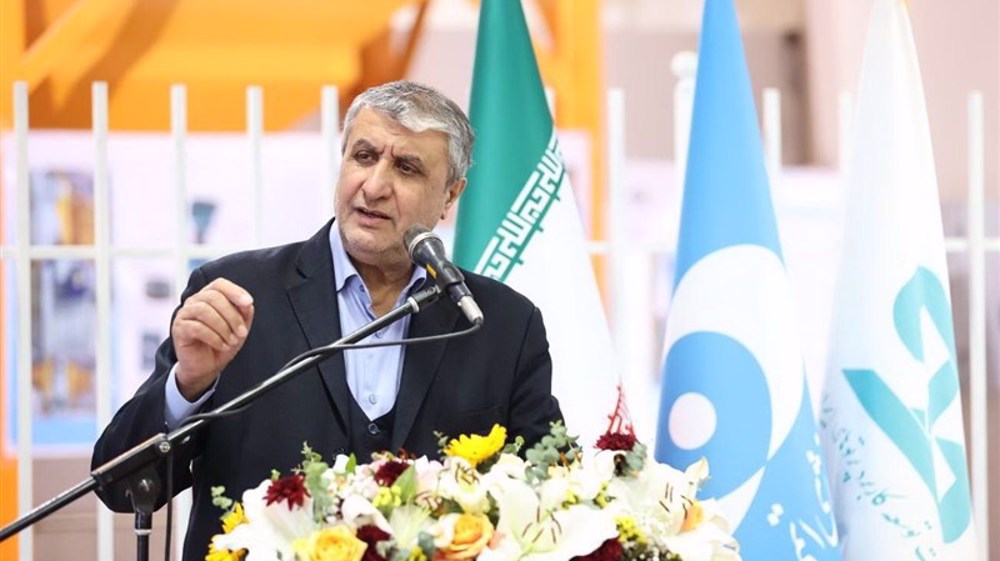 Official: Iran mastering construction of nuclear power plants