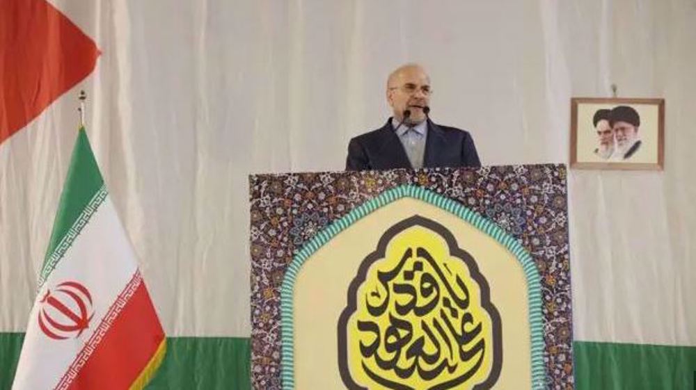 Iran Parliament speaker: Palestine awakenes world's conscience