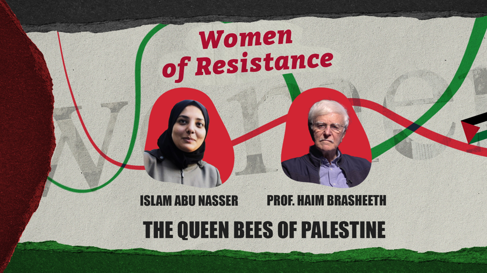 Story of Islam Abu Nasser: As strong as a queen bee