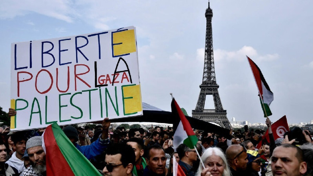 Pro-Palestine protest in Paris