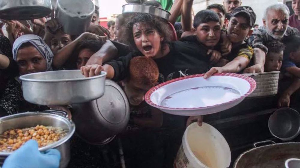 Almost entire population in Gaza relies on food aid: UN agency 