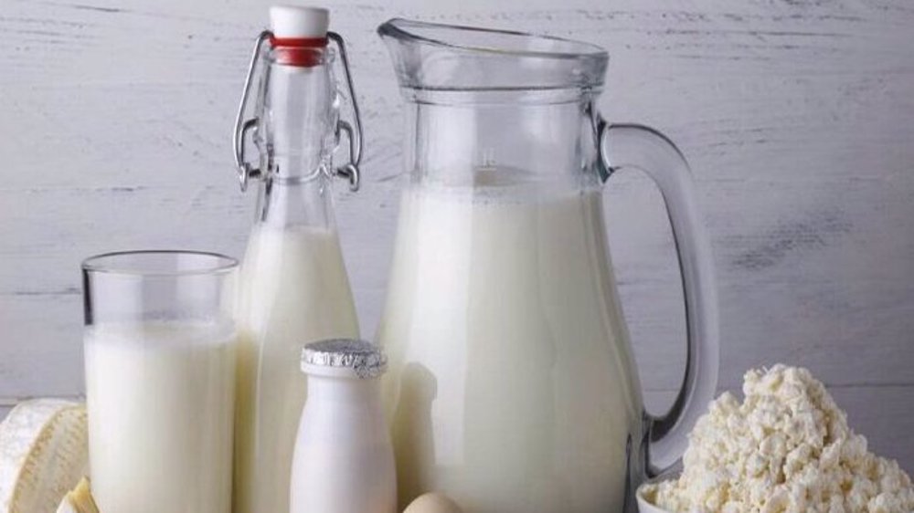 Iran’s annual dairy exports double to nearly $1 billion