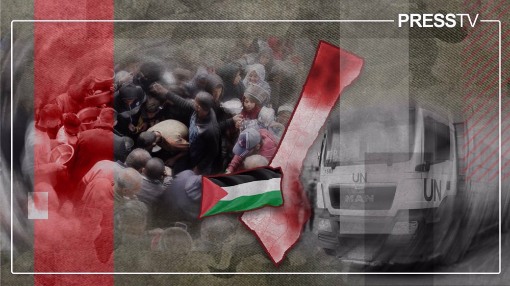 Gaza’s slow death: How aid blockade has pushed Palestinians to the brink