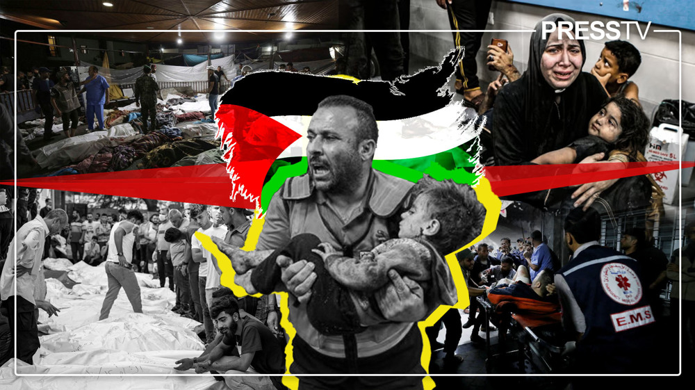 Fractured Ummah: Leadership crisis, disunity undermine Palestinian cause