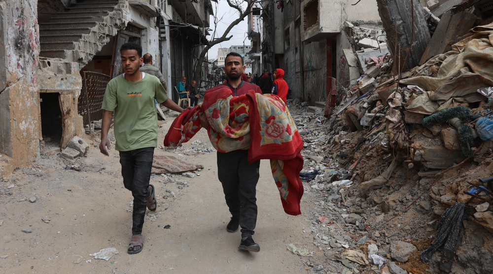Iranian, Egyptian FMs urge swift end to Israeli crimes in Gaza