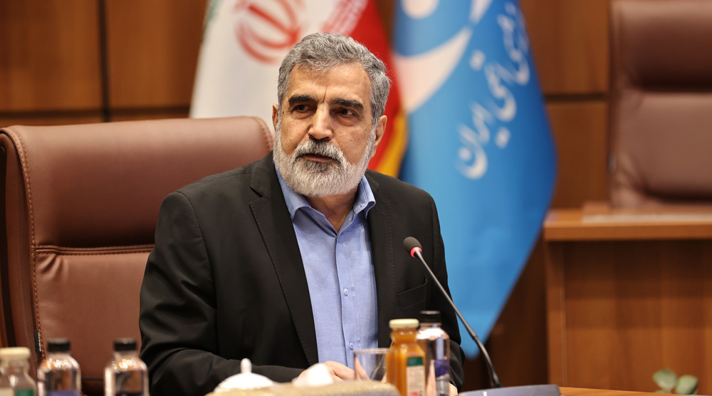 Iran’s nuclear spox rebukes Rubio’s lack of info on enrichment, calls for ‘calculated comments’  