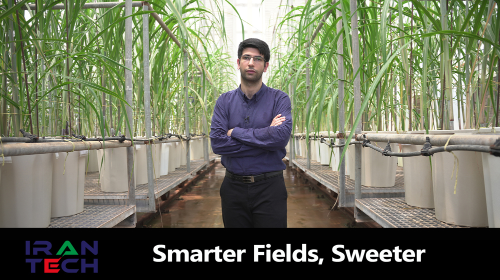 Smarter fields, sweeter yields