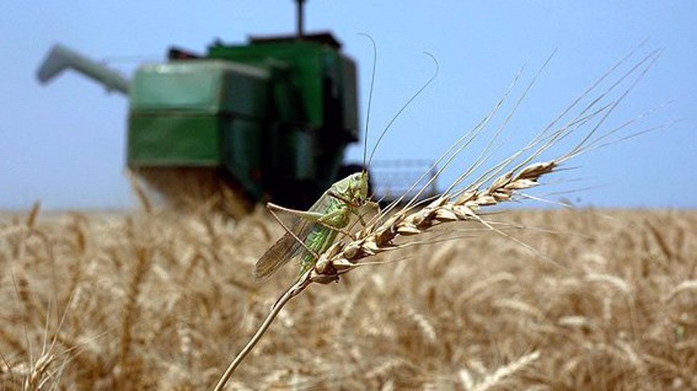 Iran says nuclear technology has revolutionized its agriculture