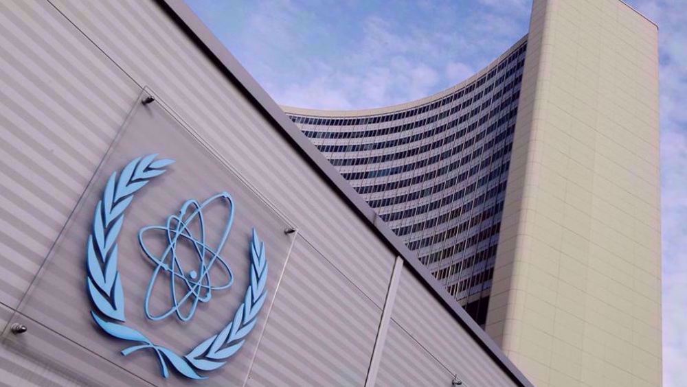 IAEA Board of Governors 100% controlled by collective West: Rosatom chief