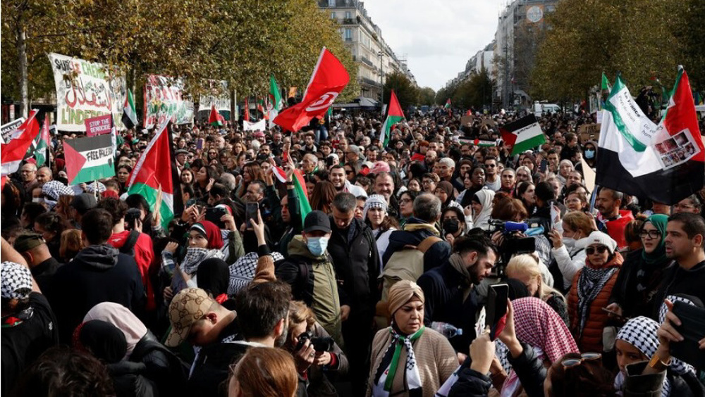 French FM: Paris determined to recognize Palestinian state