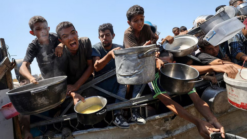 Ayatollah Sistani urges Arab, Muslim nations to end Gaza tragedy