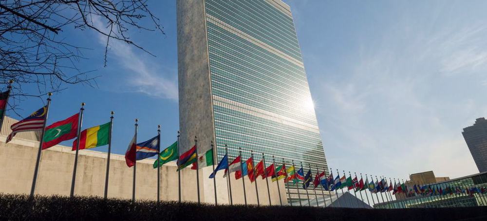 Protesters in New York demand UN action to stop Gaza starvation