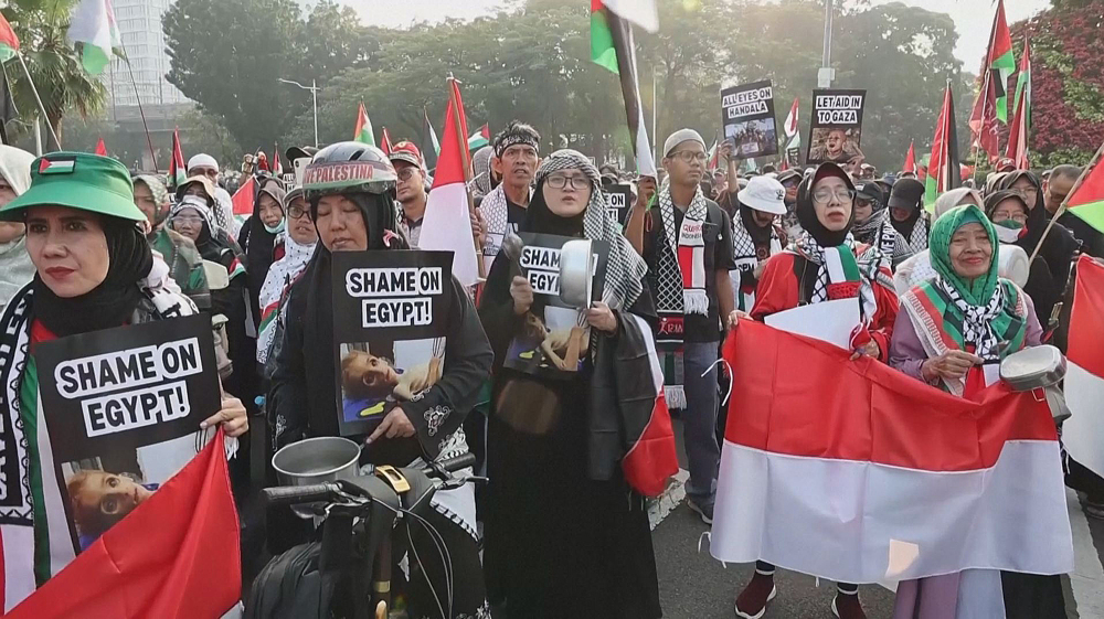 Pro-Palestine protests held globally over Gaza hunger crisis