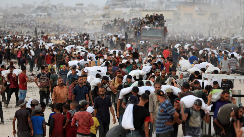 40 EU lawmakers call for sanctions on Israel over Gaza atrocities