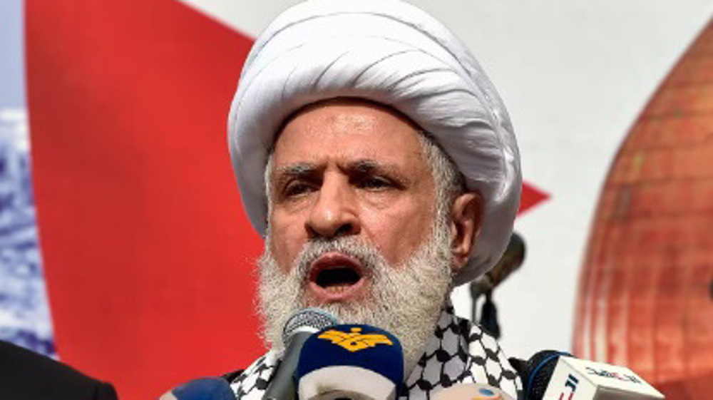 Defense requires no permission: Hezbollah chief