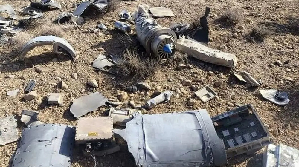 Nigel Farage Trump