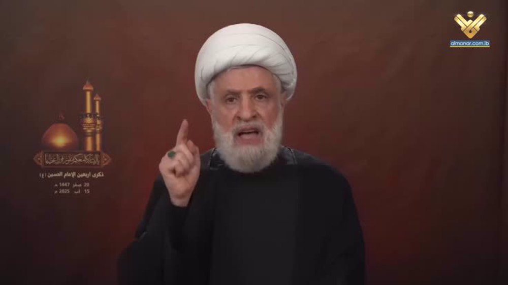 Hezbollah will not give up its weapons: Sheikh Qassem