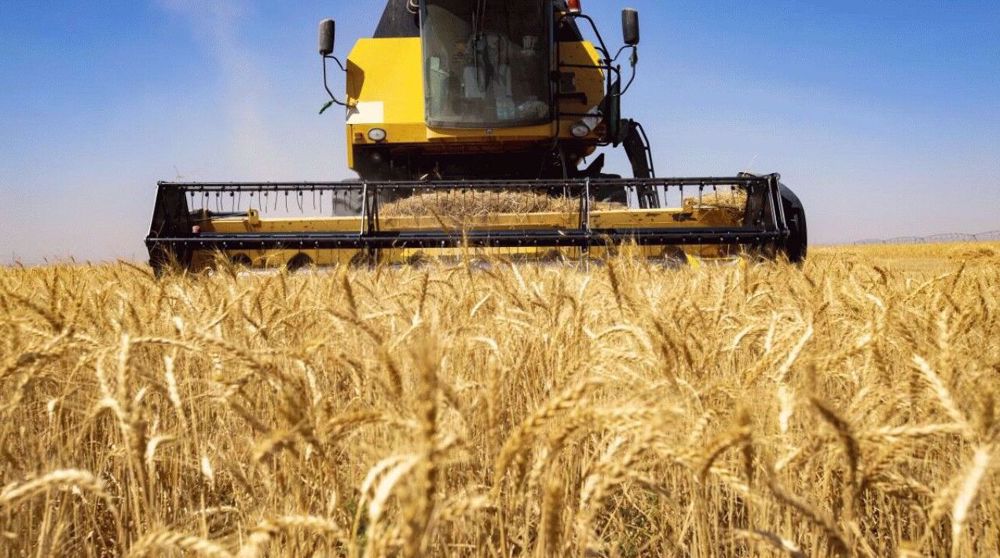 Iran needs to import 4.5 mln mt of wheat in year to March