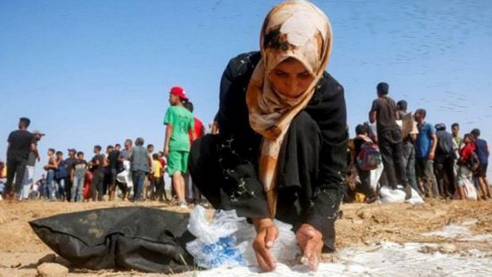 UN declares famine in Gaza amid Israeli starvation drive