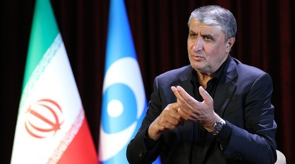 Iran nuclear chief in Vienna to push for ban on attacks against nuclear sites