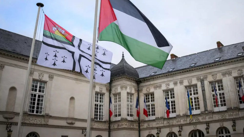 French town halls raise Palestinian flag in defiance of govt. warning