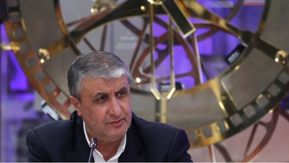Iran, Russia to seal contract for 5,000 MW nuclear plant 'within days' 