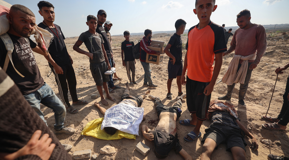 Israel set up GHF to ‘weaponize’ aid distribution in Gaza: Whistleblower