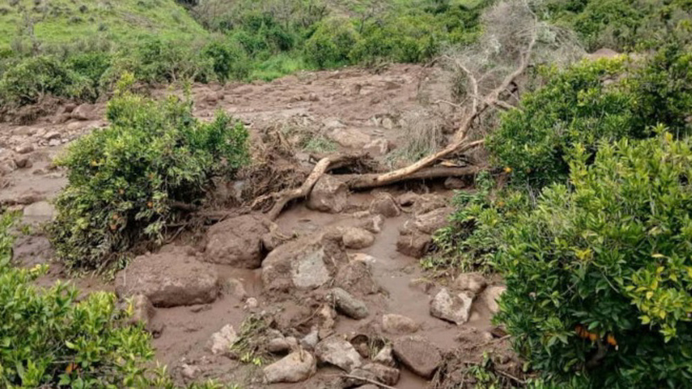 Rescue efforts continue in western Sudan village wiped out by landslide