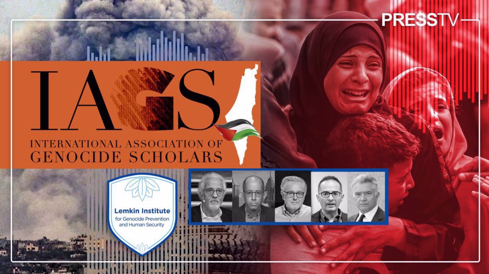 Silence shattered: World’s top genocide scholars agree Israel’s Gaza war is genocide
