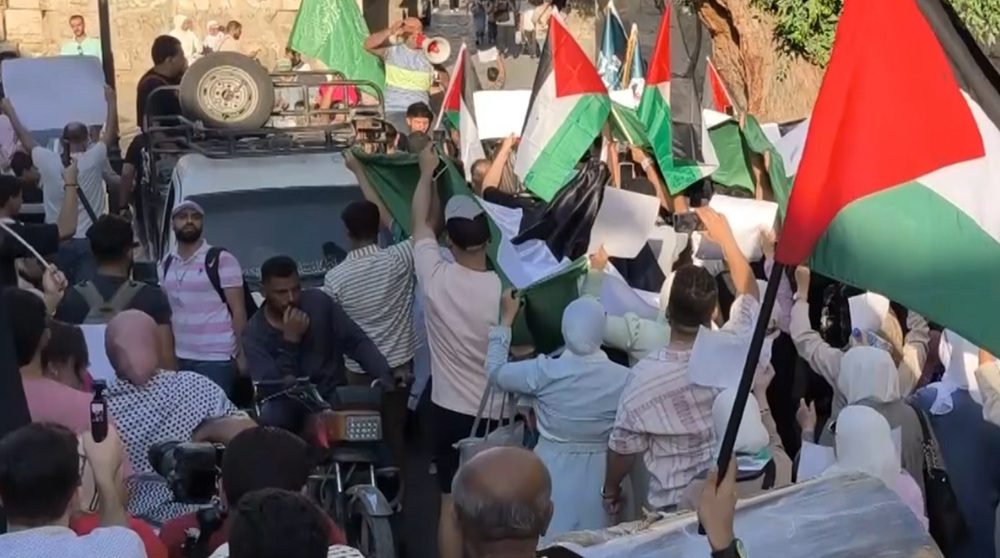 Demonstrators in Damascus express solidarity with Gazans