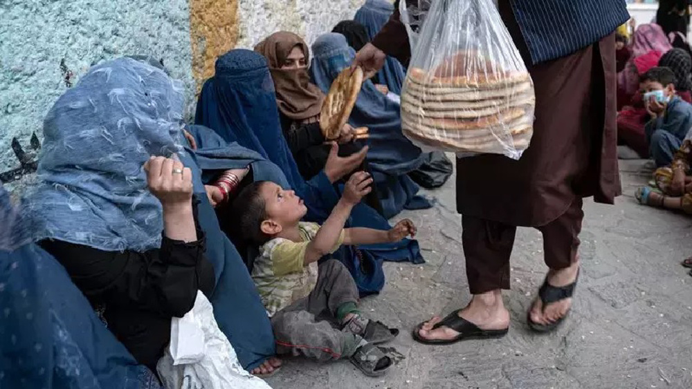 Millions of Afghans face food insecurity