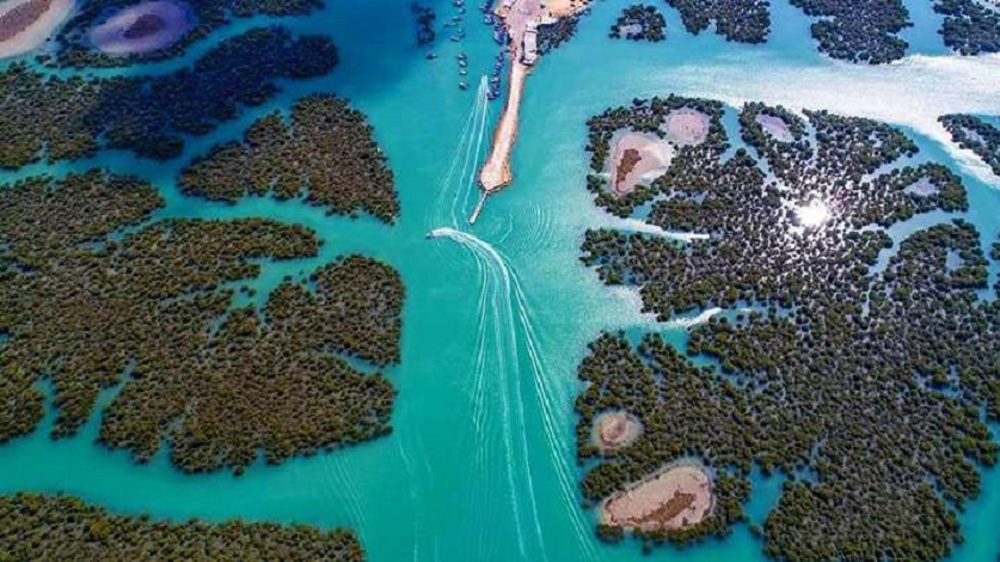 Nigel Farage Trump