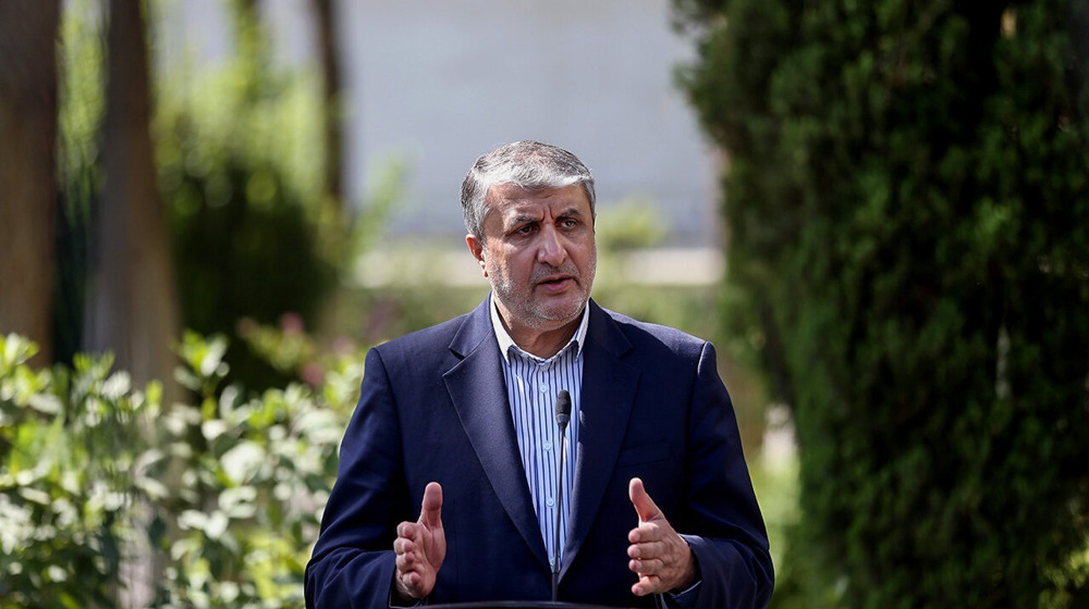 Iran says it has enough deterrence even without nuclear weapons