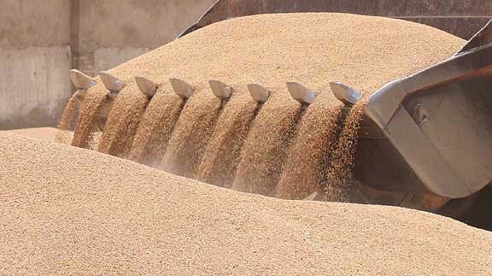 Iran keeps wheat import subsidies despite cutting other food supports