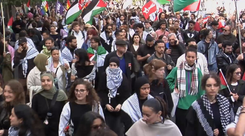 Protesters in Paris call for end to Israel’s ceasefire violations